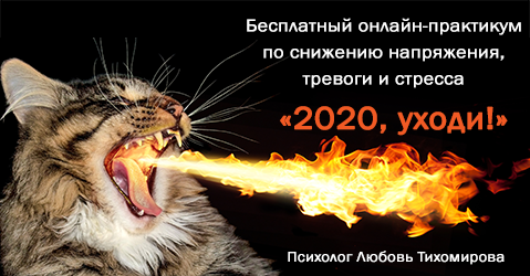 Бесплатный онлайн-практикум «2020, уходи!»