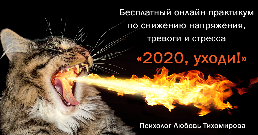 Любовь Тихомирова Бесплатный онлайн-практикум по настройке желаемого сценария на новый год «2020, уходи!»